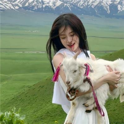 银魂剧场版：新译红樱篇